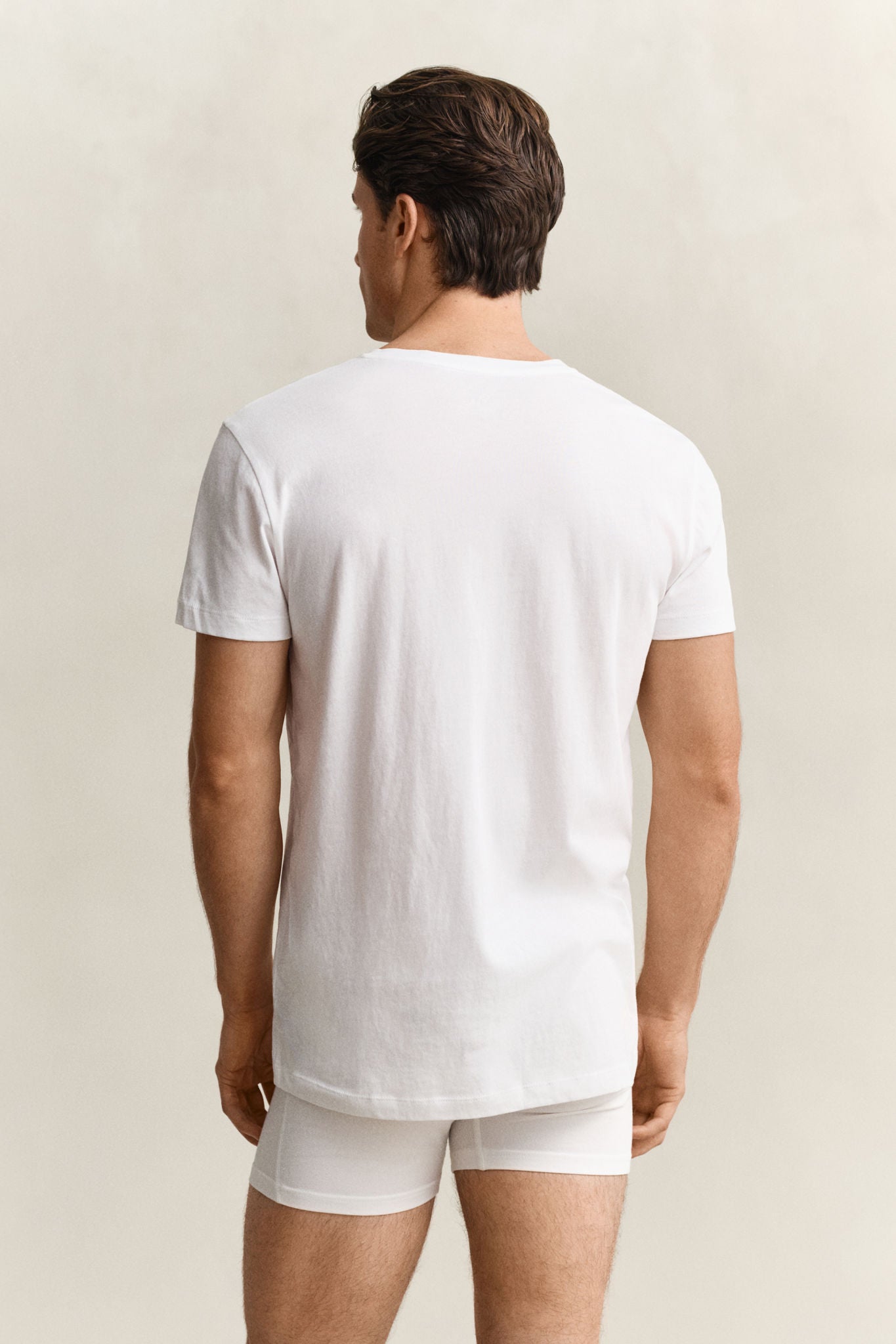 V-Neck T-Shirt 2 Pk White