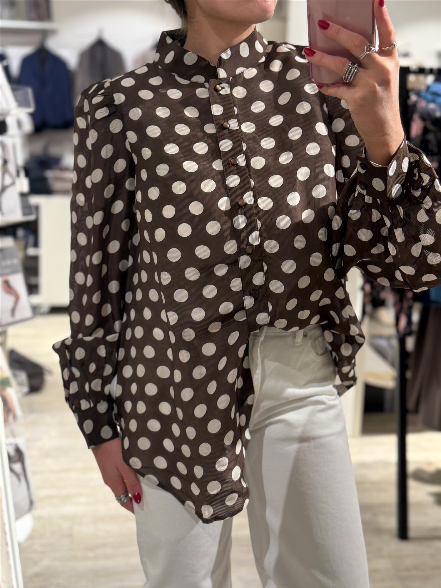 Striped Organza Blouse Dots