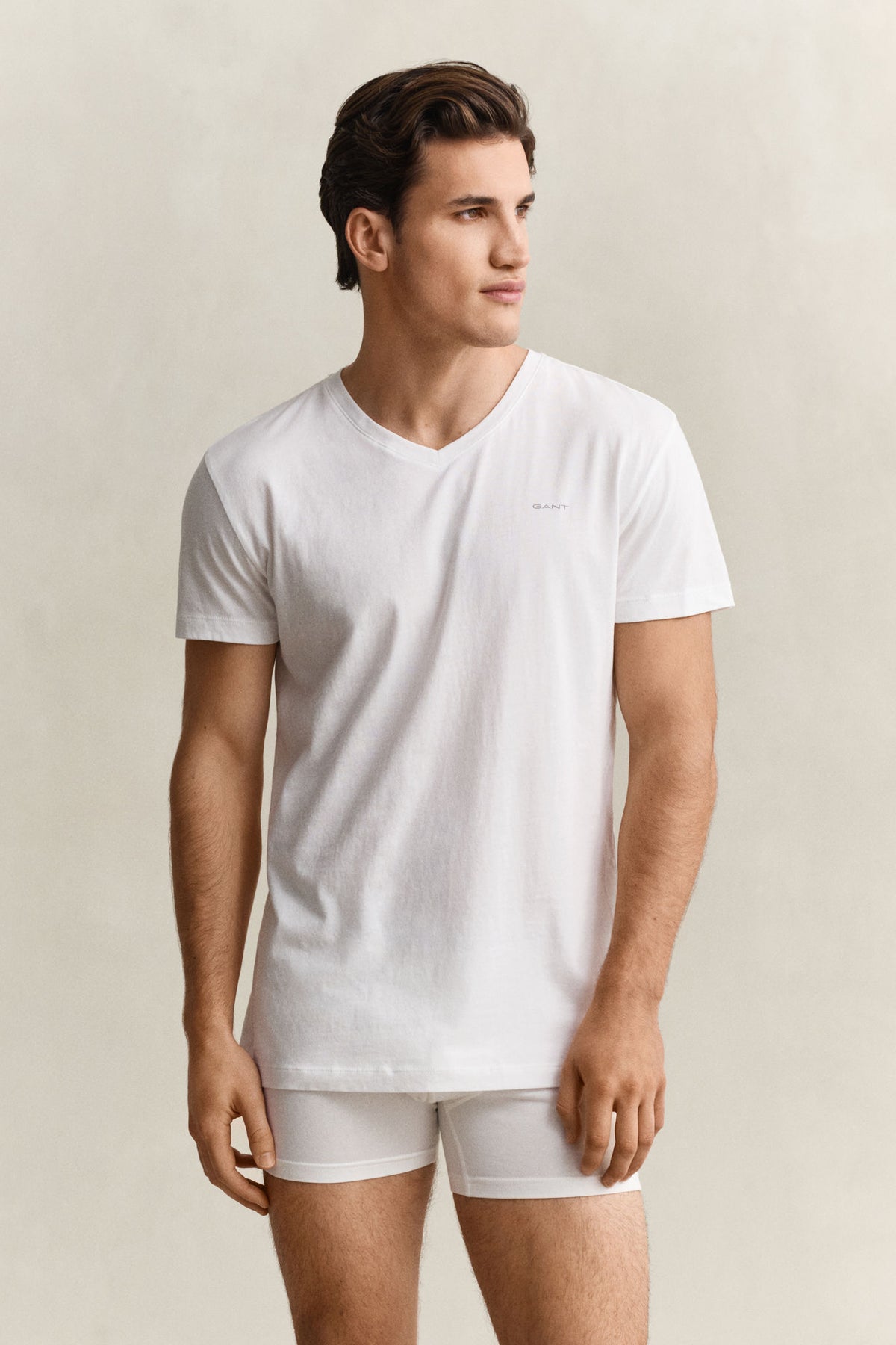 V-Neck T-Shirt 2 Pk White