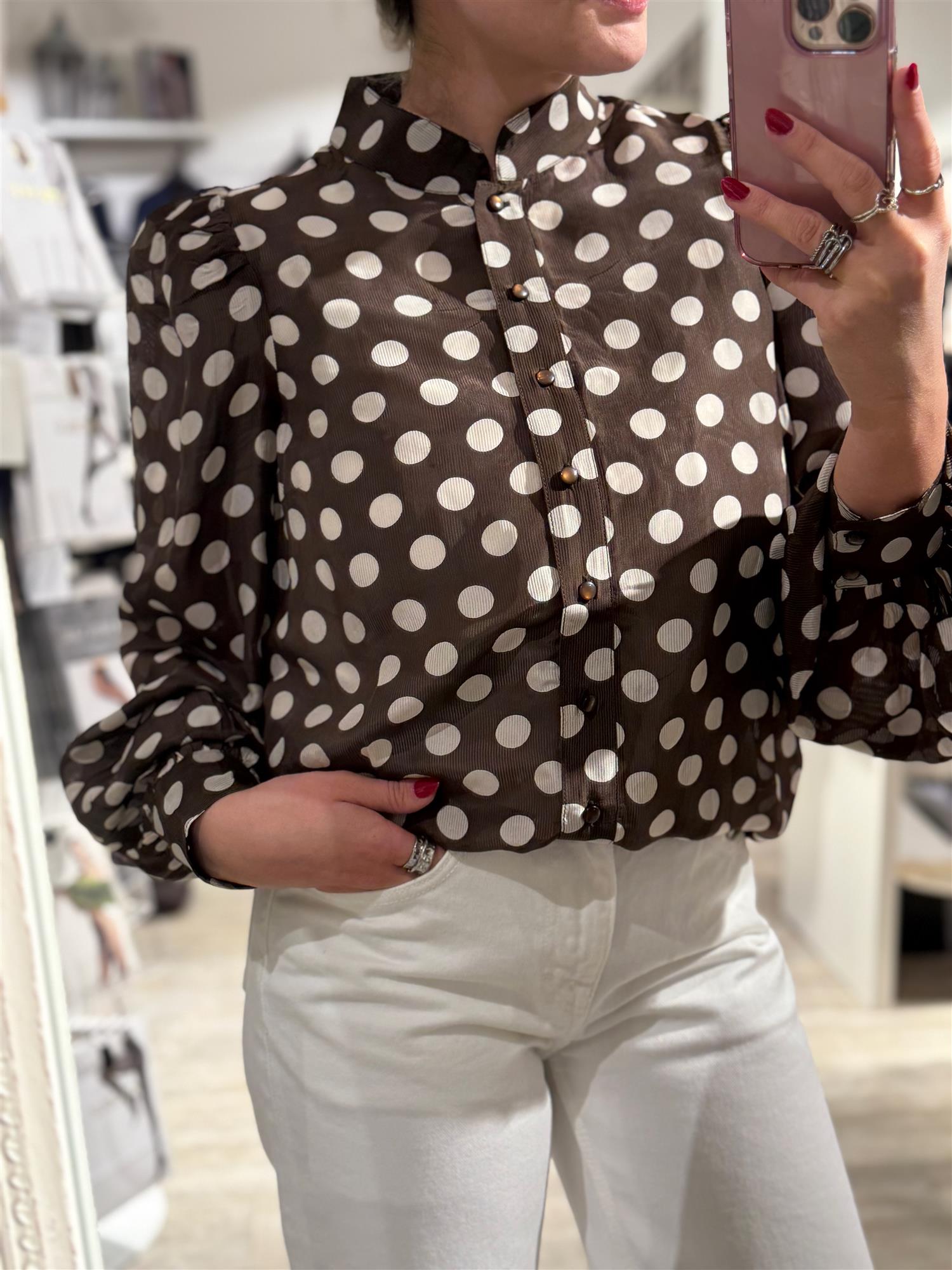 Striped Organza Blouse Dots