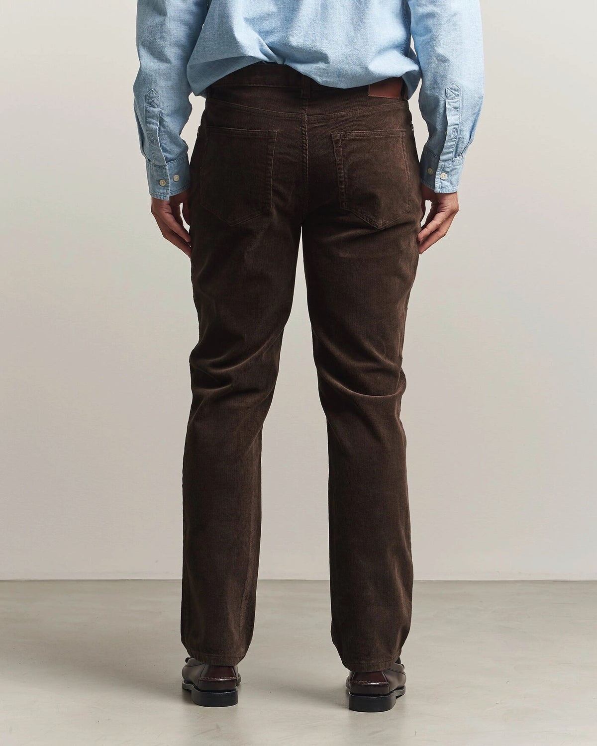 Regular Cord Chinos- 217 Black Brown