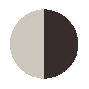 Fqadney-Shirt