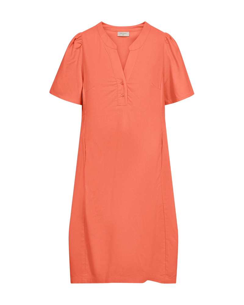 Fqlaney-Dress Fresh Salmon