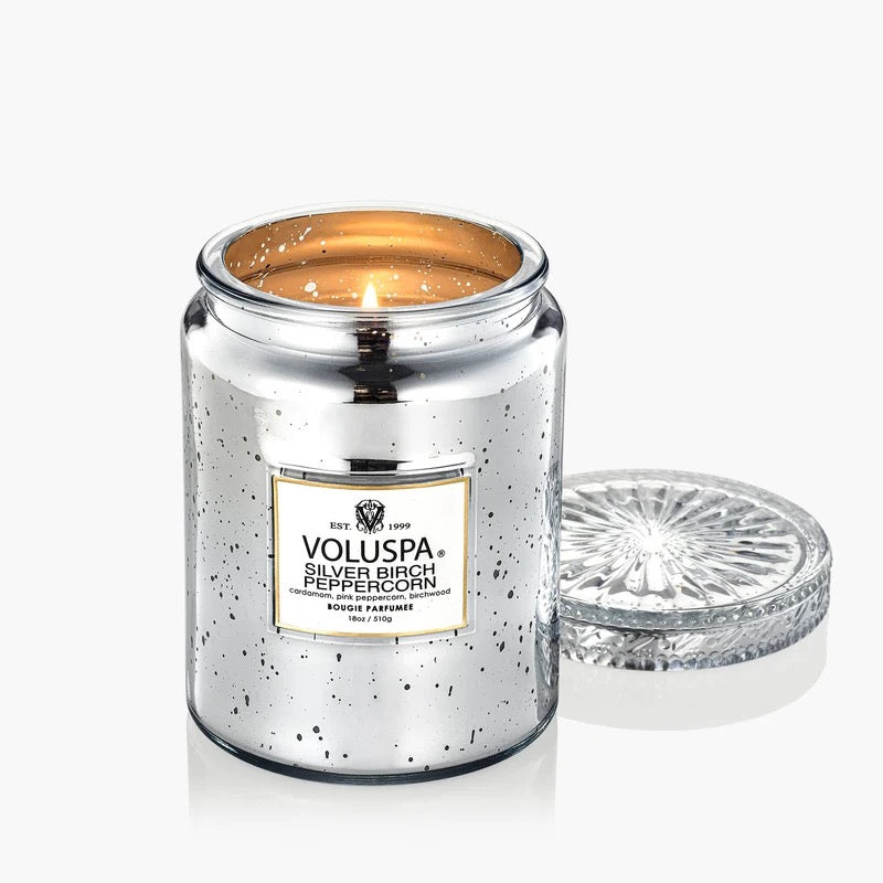 Silver Birch Peppercorn Large Jar Candle