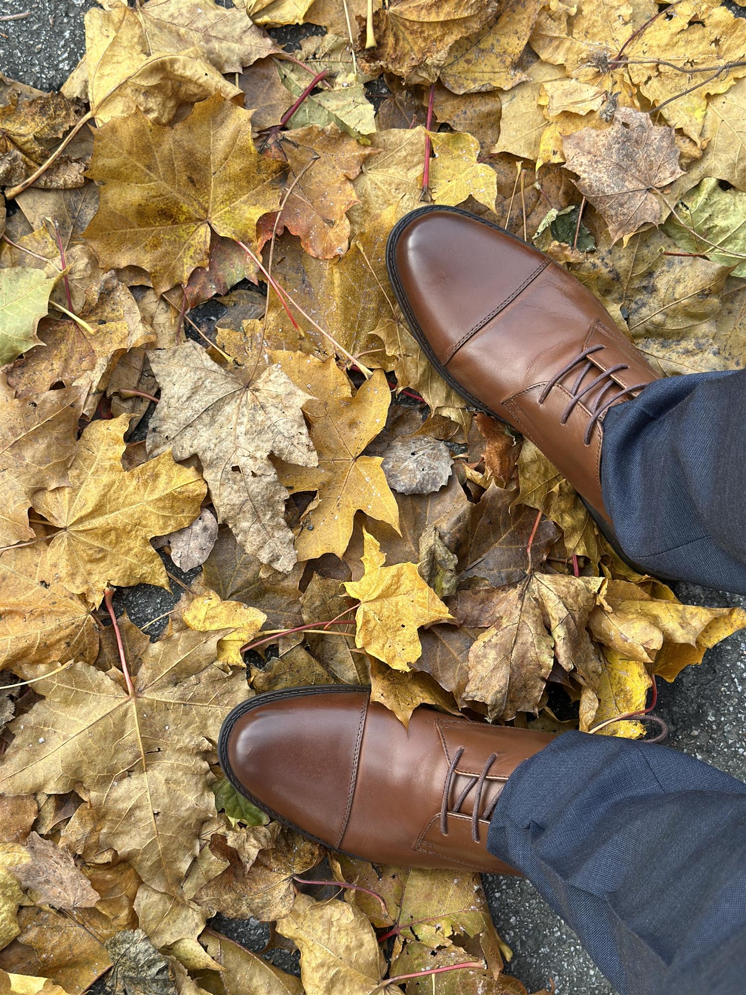 Oslo Leather Dress Shoe Brown Stone