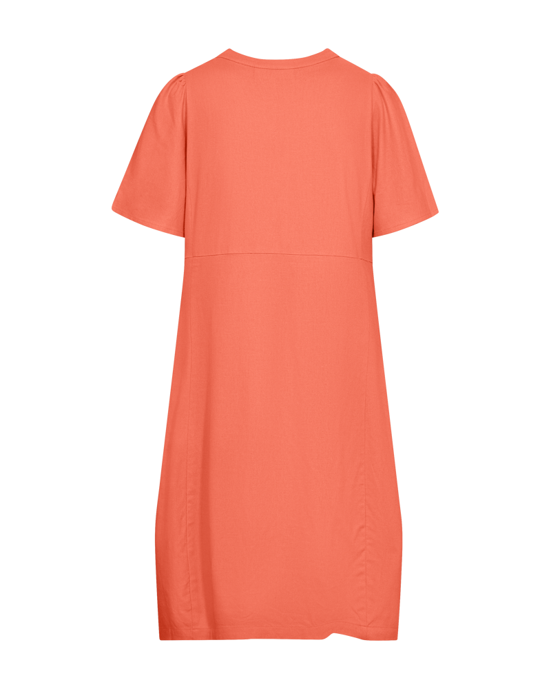 Fqlaney-Dress Fresh Salmon