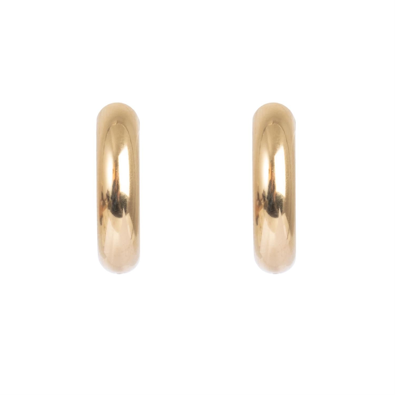 Hulahoop Earring Gold Tone Damli