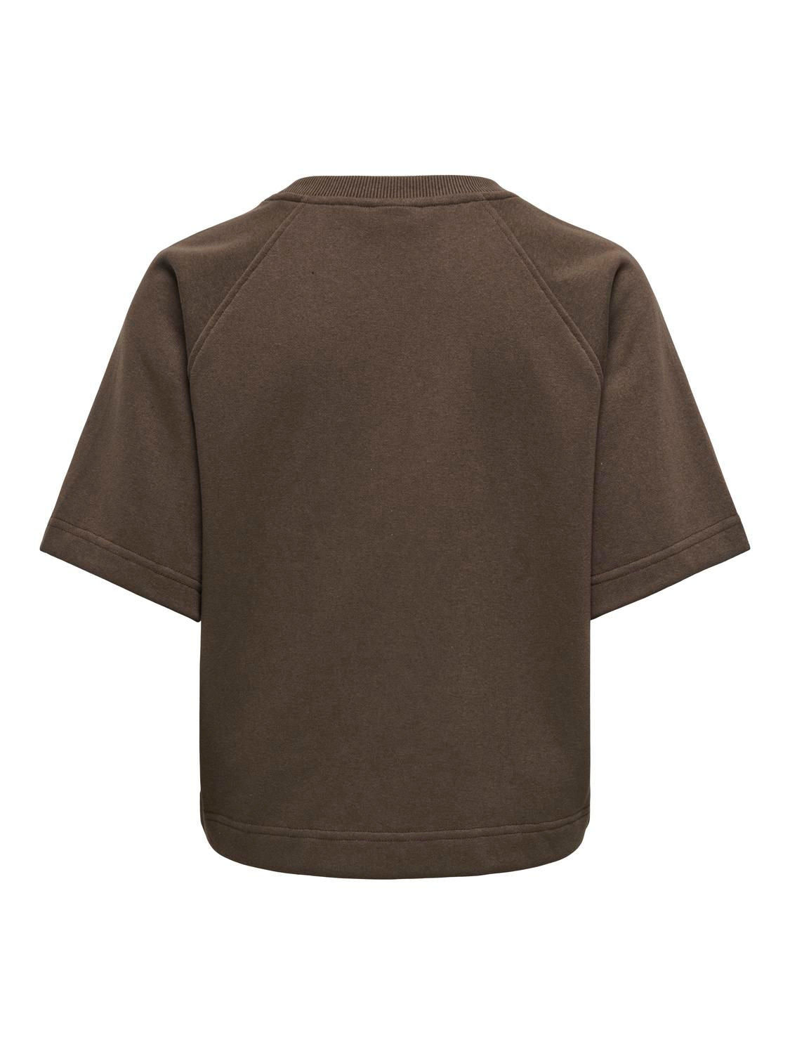 Onlofelia Ss Raglan Sweat Bracken