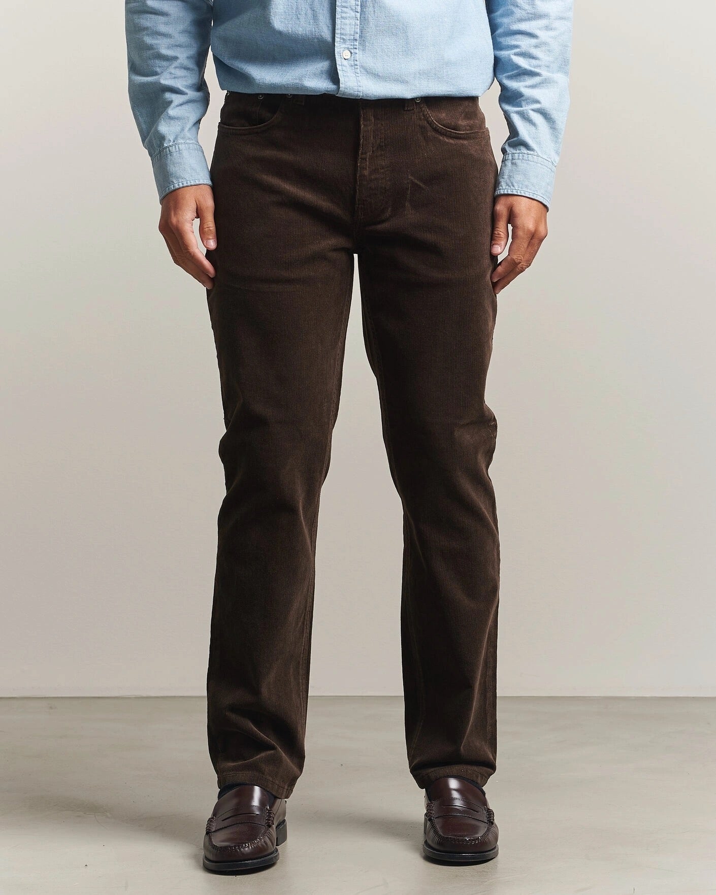 Regular Cord Chinos- 217 Black Brown