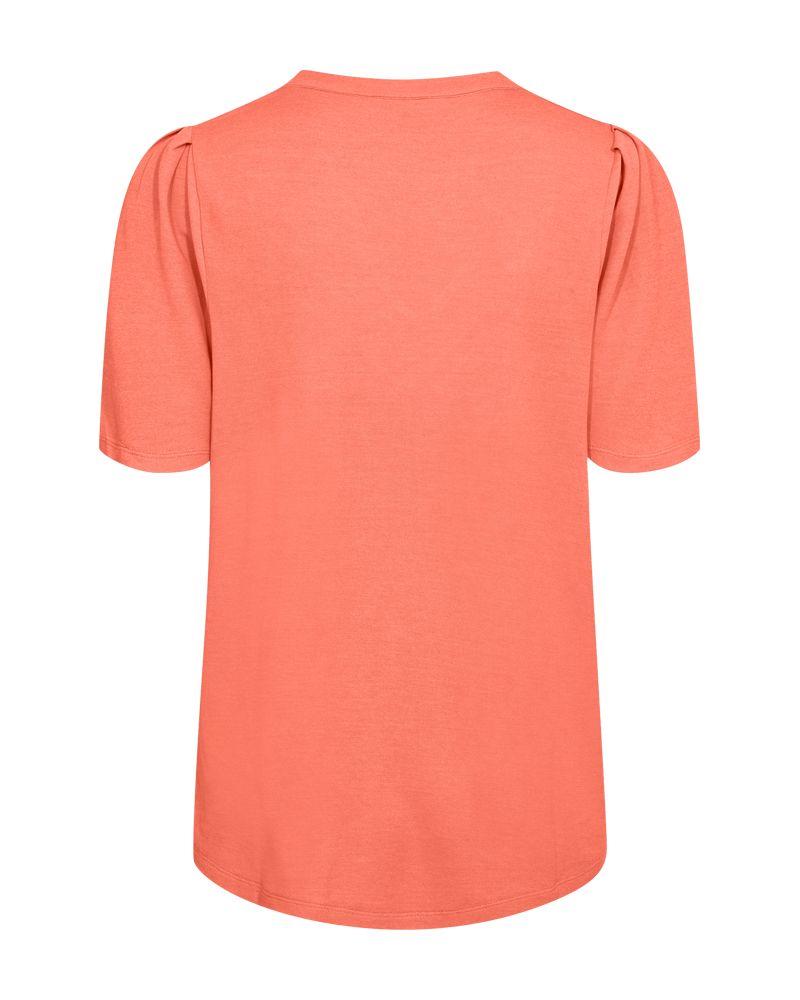 FqYr Ss Balloon Fresh Salmon